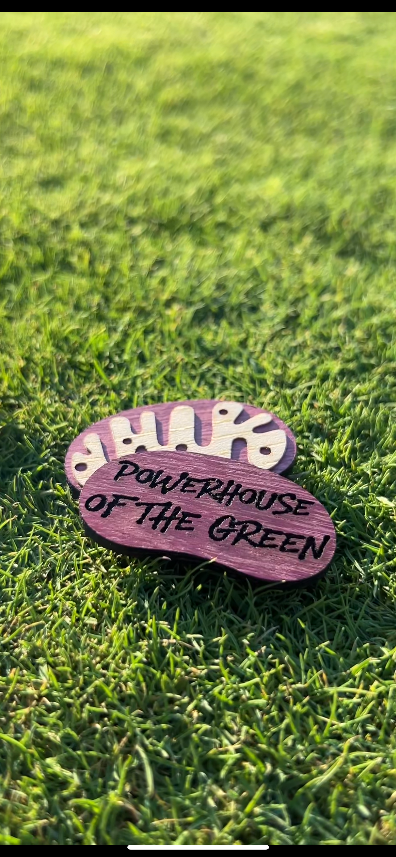 Powerhouse of the Green